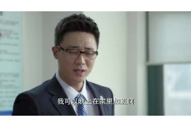 从化债务清欠服务